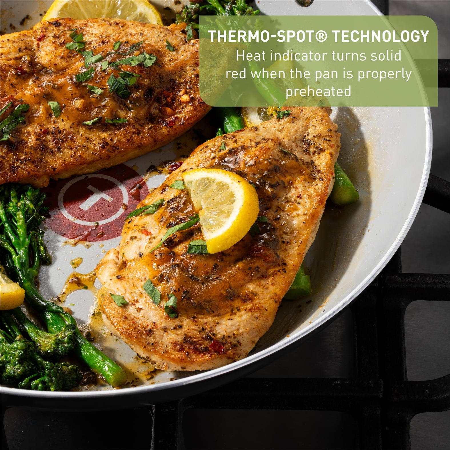 T-fal Easy Care Ceramic Non-Stick, 8 and 10.5 Inch Frypan Set, Grey